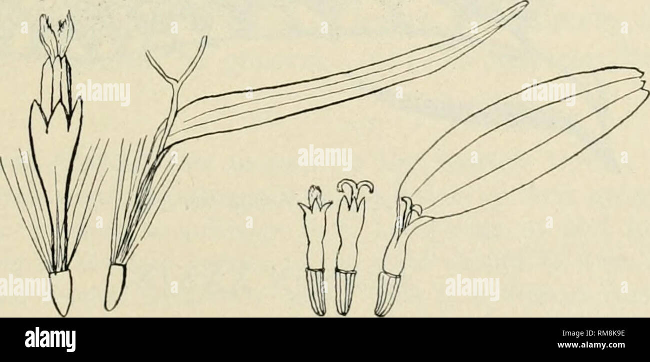 Agricultural Advertising Stock Photos Agricultural - 